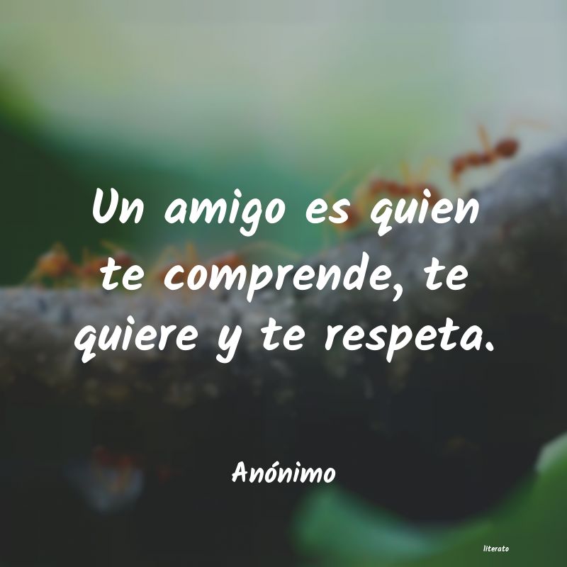 frases