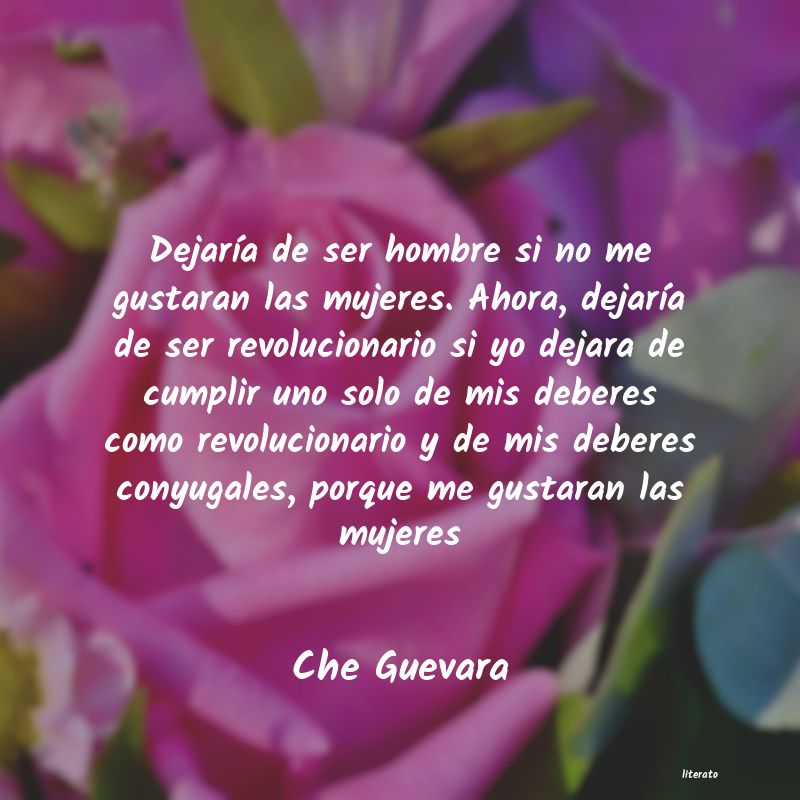 Frases de Che Guevara