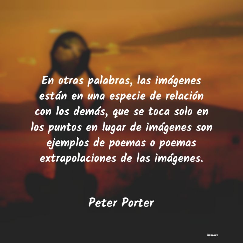 Frases de Peter Porter