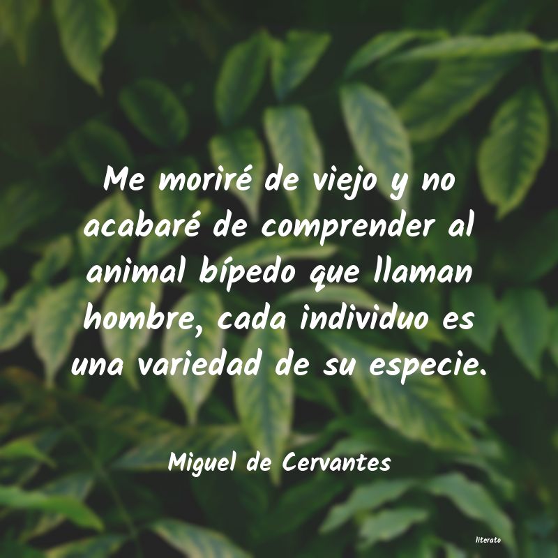 pensamiento de miguel de cervantes saavedra