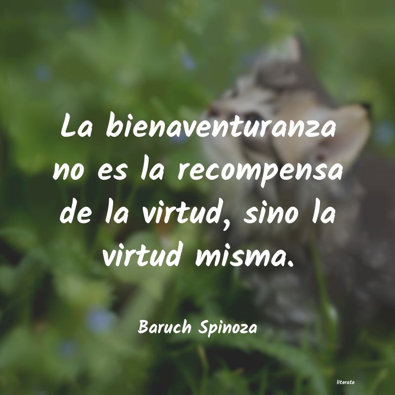 Frases de Baruch Spinoza