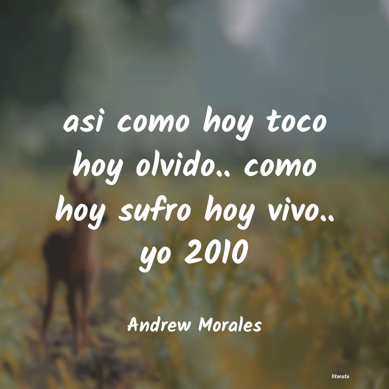 Frases de Andrew Morales