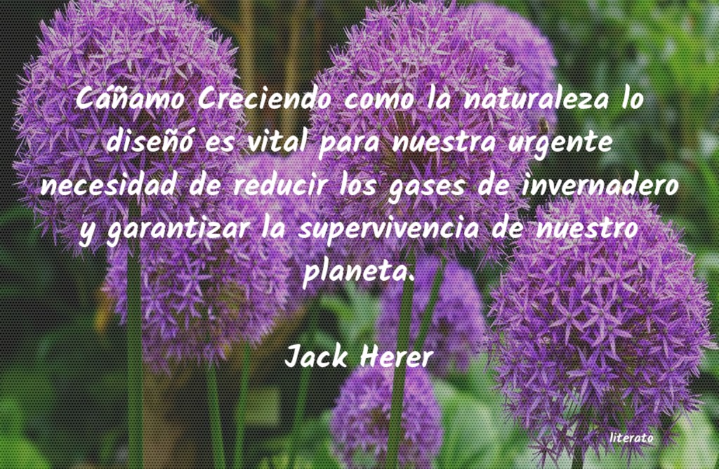 Frases de Jack Herer