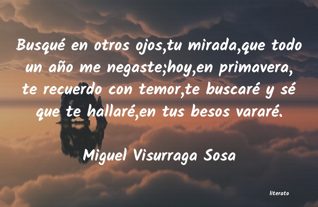 frases de Miguel Visurraga Sosa