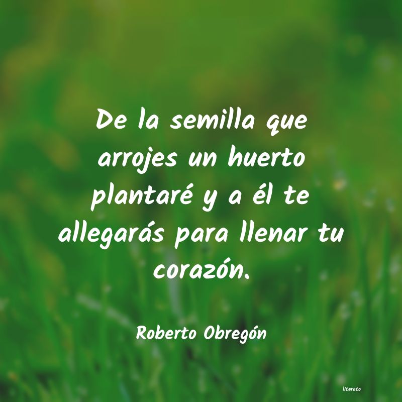 frases de Roberto Obregón