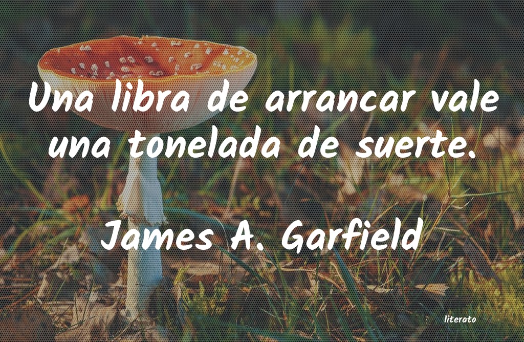 Frases de James A. Garfield