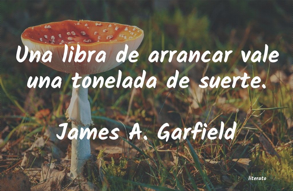 Frases de James A. Garfield