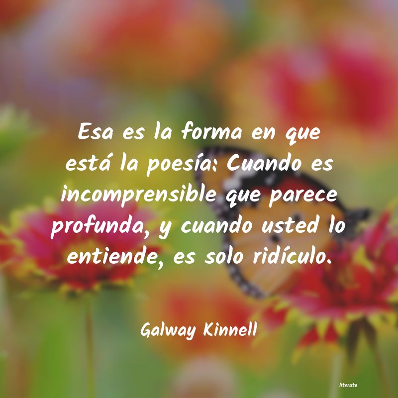 Frases de Galway Kinnell