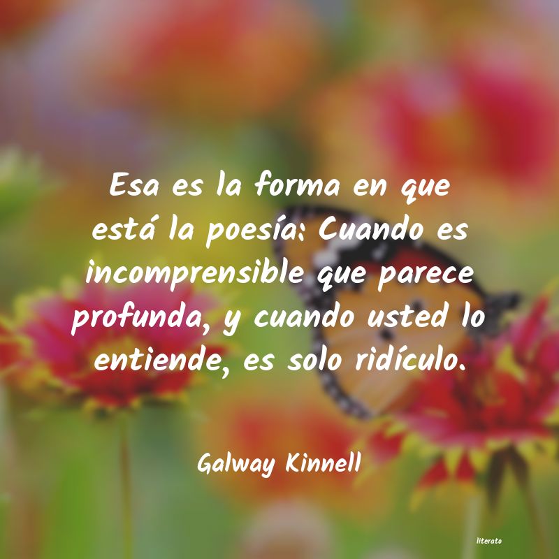 frases de Galway Kinnell