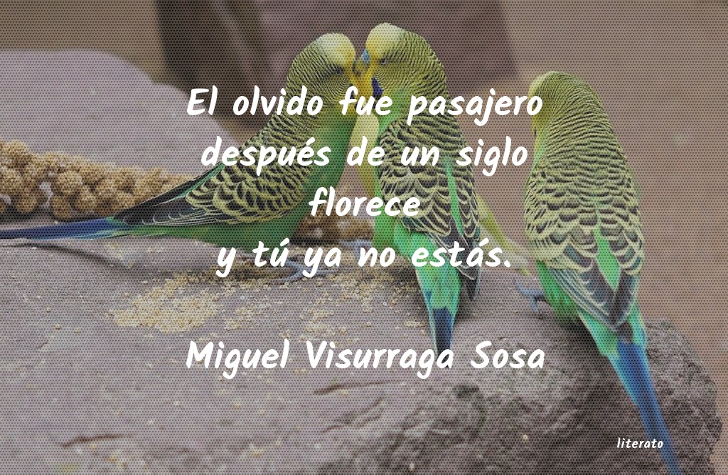 frases de Miguel Visurraga Sosa