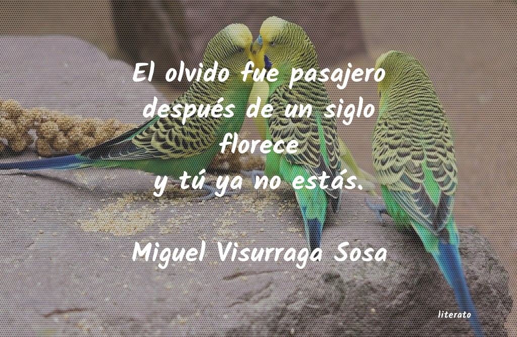 Frases de Miguel Visurraga Sosa