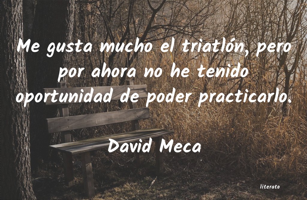Frases de David Meca