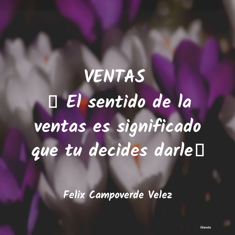 Frases de Felix Campoverde Velez