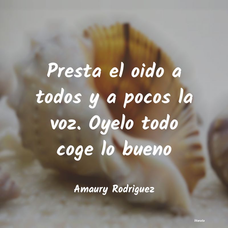 Frases de Amaury Rodriguez