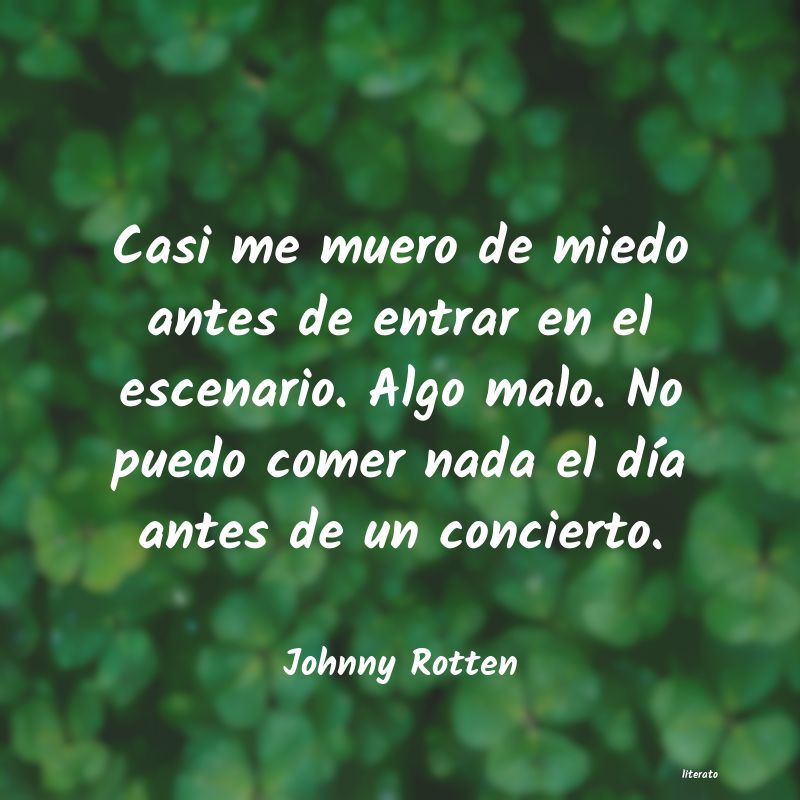 Frases de Johnny Rotten