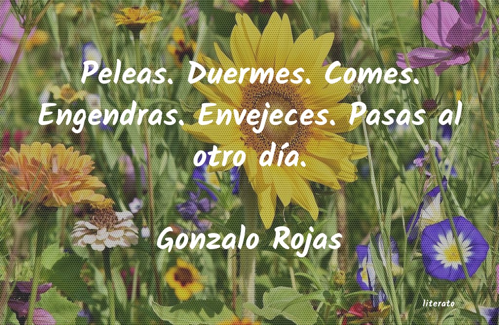 frases de Gonzalo Rojas