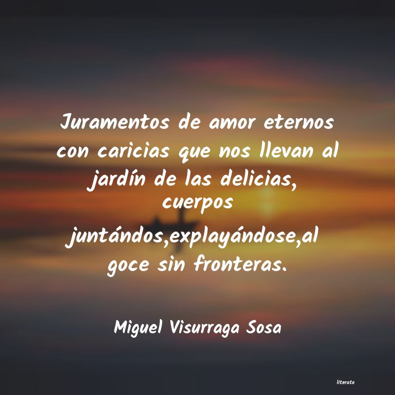 frases de Miguel Visurraga Sosa