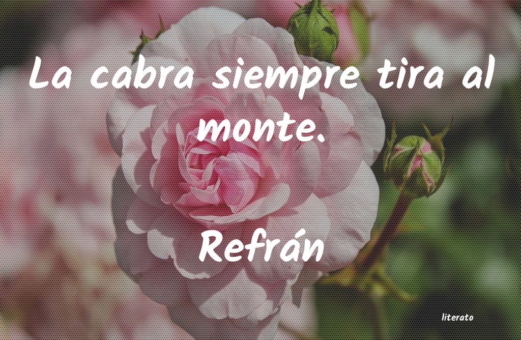 frases de RefrÃ¡n