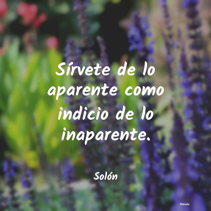 frases de Solón