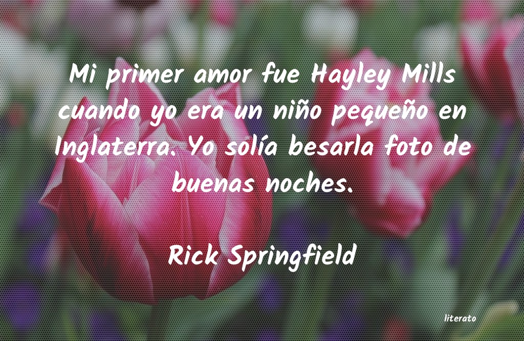 frases de Rick Springfield