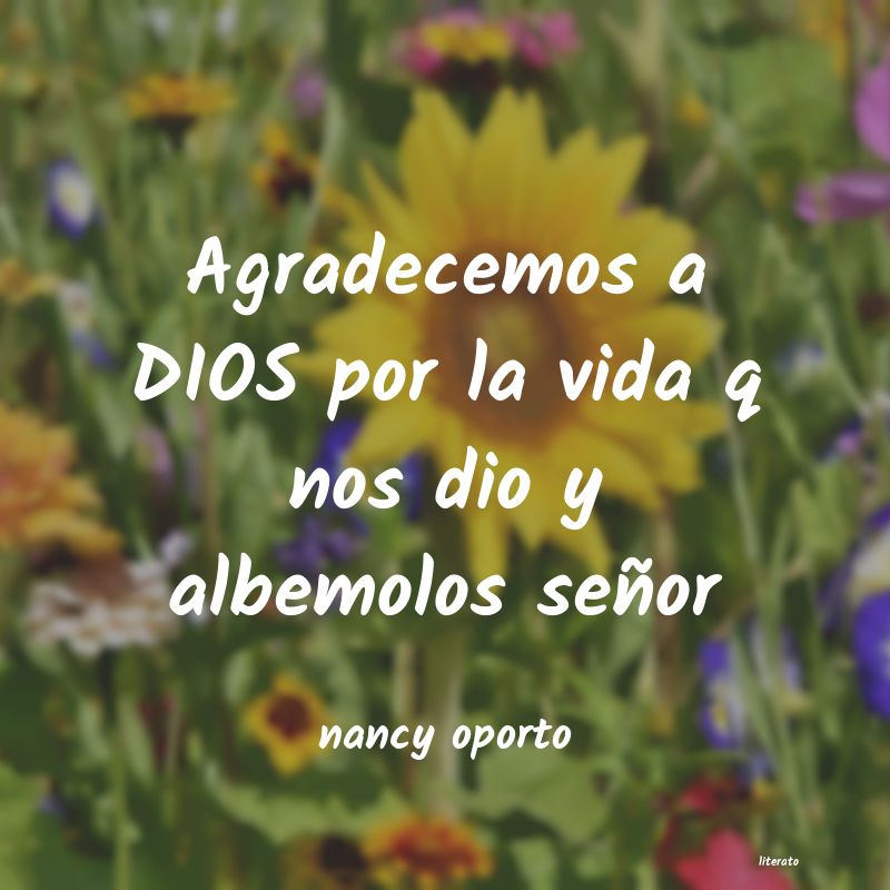 Frases de nancy oporto