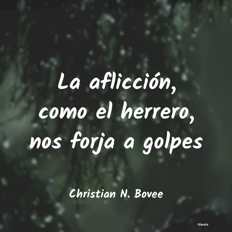Frases de Christian N. Bovee