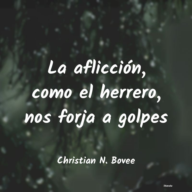 frases de Christian N. Bovee