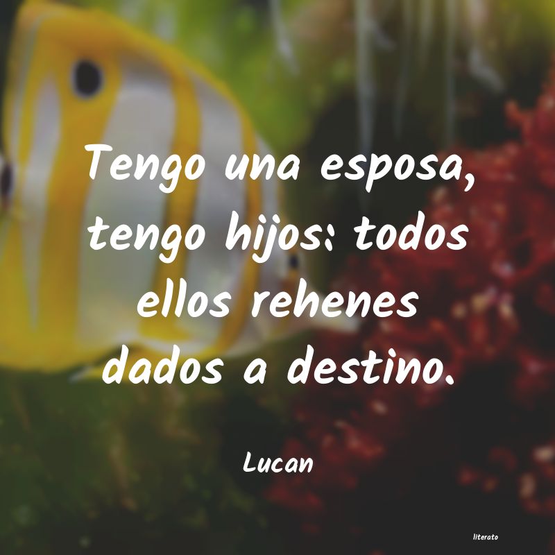 frases de Lucan