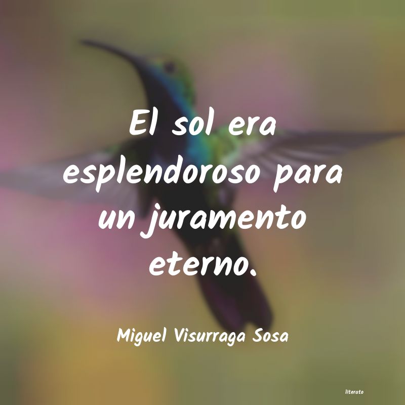 frases de Miguel Visurraga Sosa