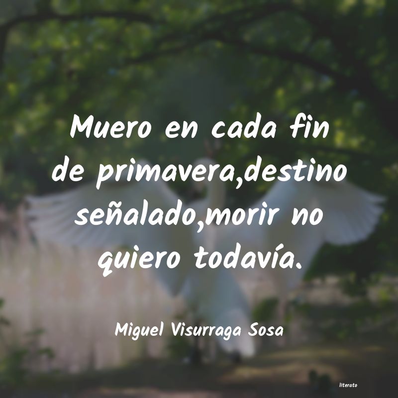 frases de Miguel Visurraga Sosa
