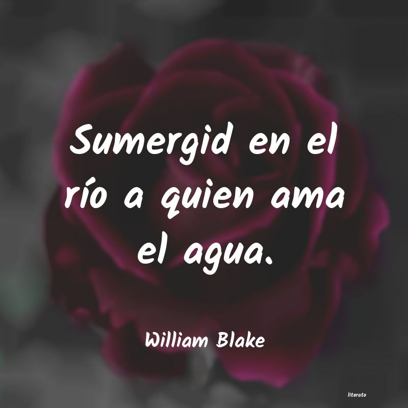 Frases de William Blake