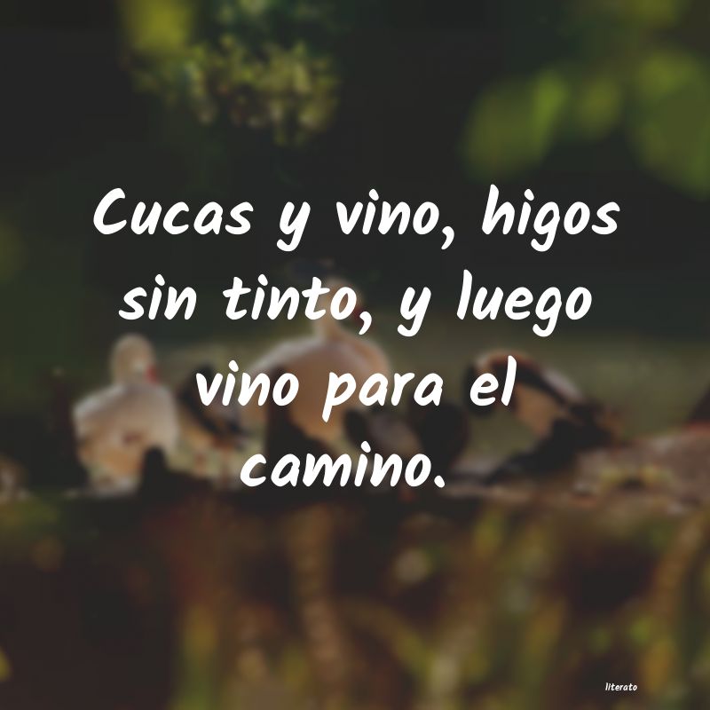 frases