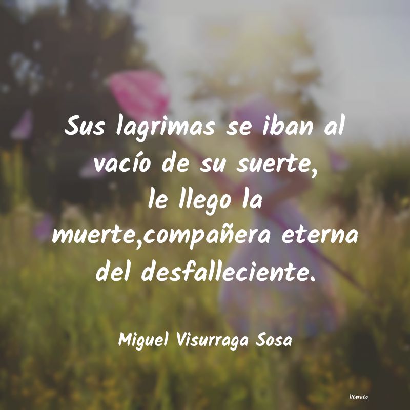 frases de Miguel Visurraga Sosa