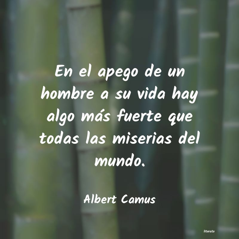 Frases de Albert Camus