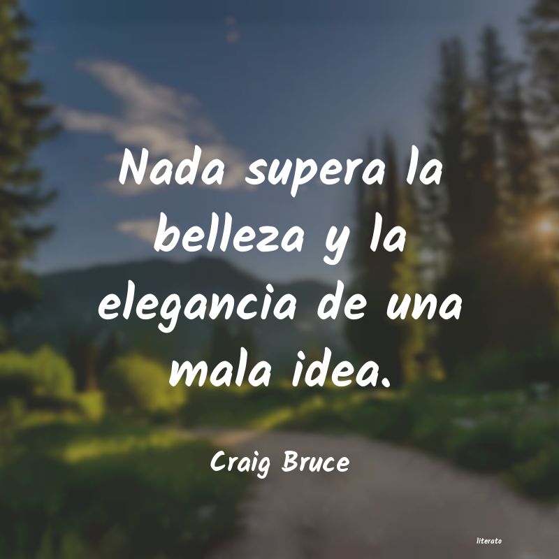 Frases de Craig Bruce