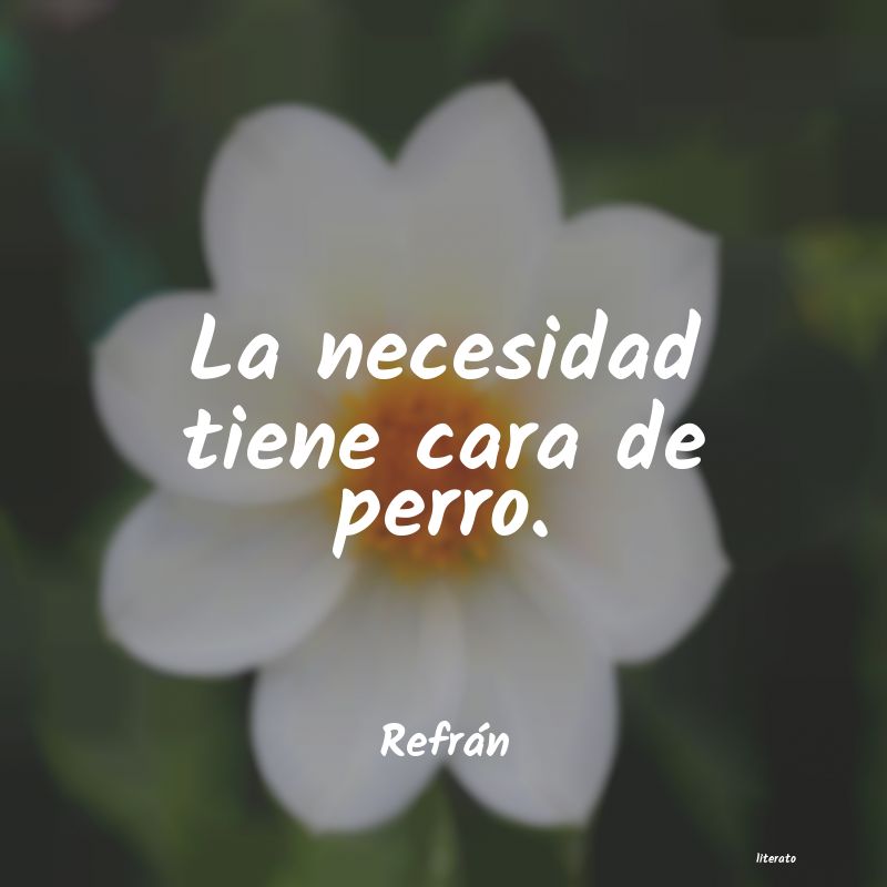 frases de Refrán