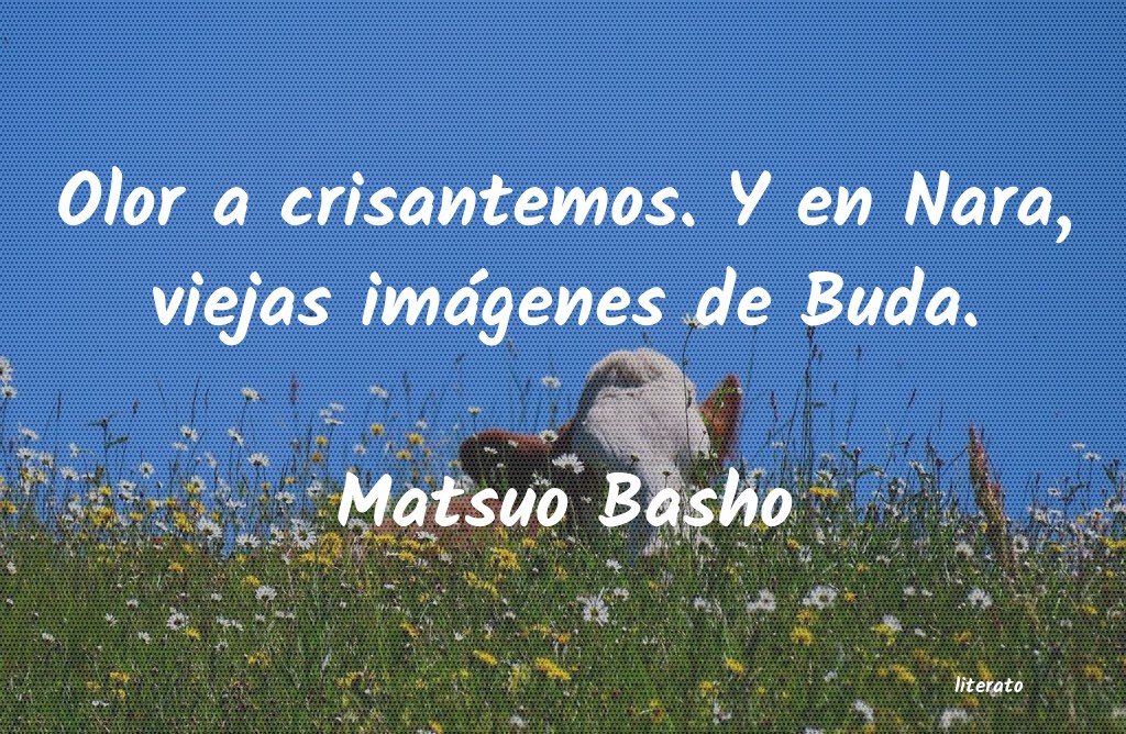 Frases de Matsuo Basho