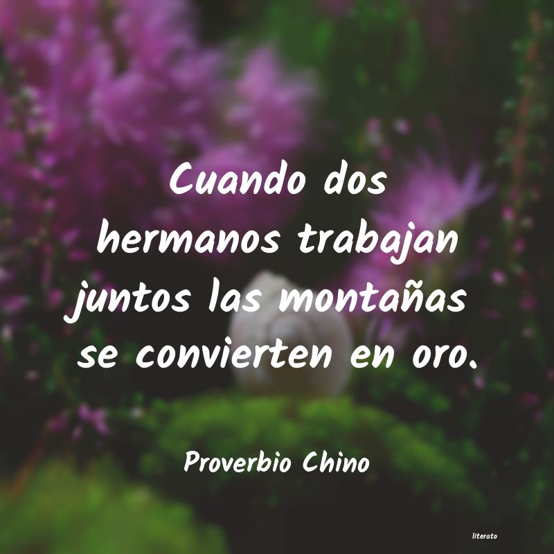 Frases de Proverbio Chino