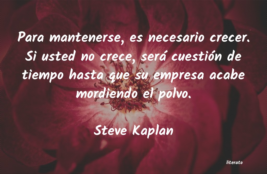 Frases de Steve Kaplan