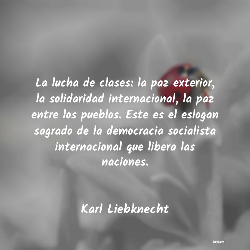 frases de Karl Liebknecht