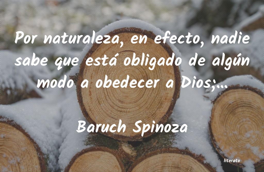 Frases de Baruch Spinoza