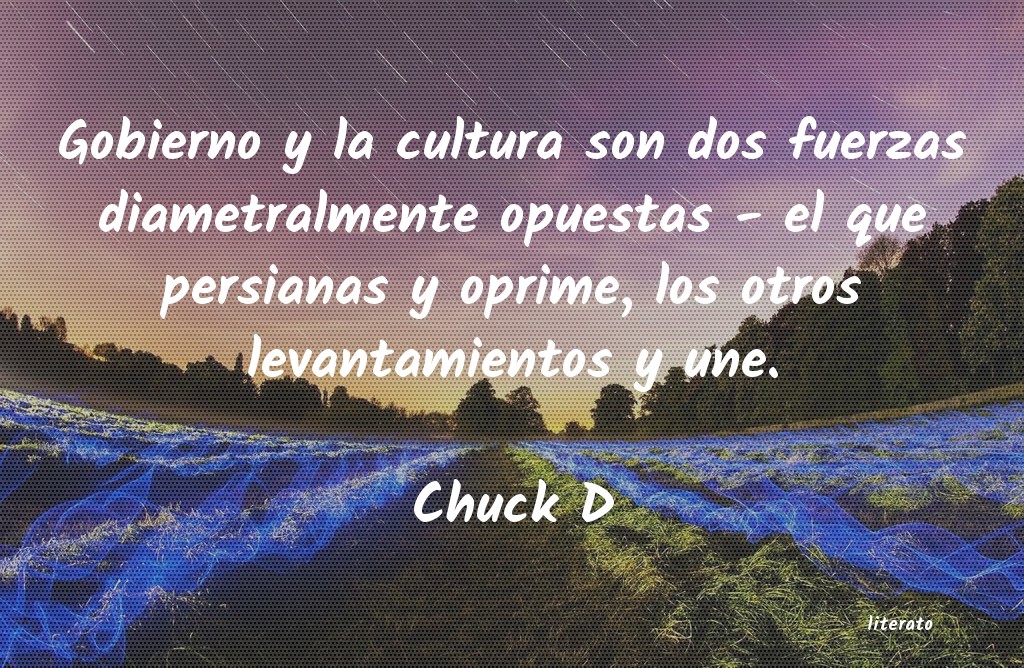 Frases de Chuck D