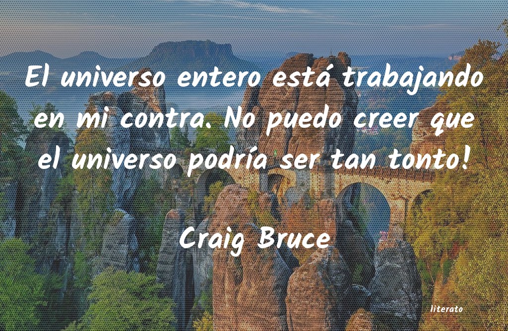 Frases de Craig Bruce