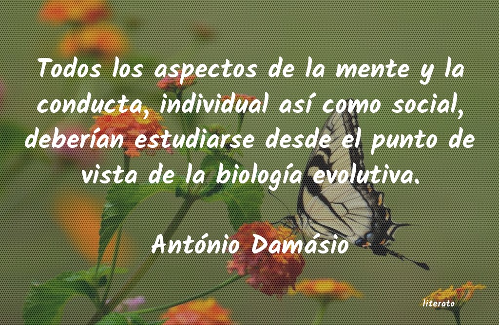 Frases de António Damásio