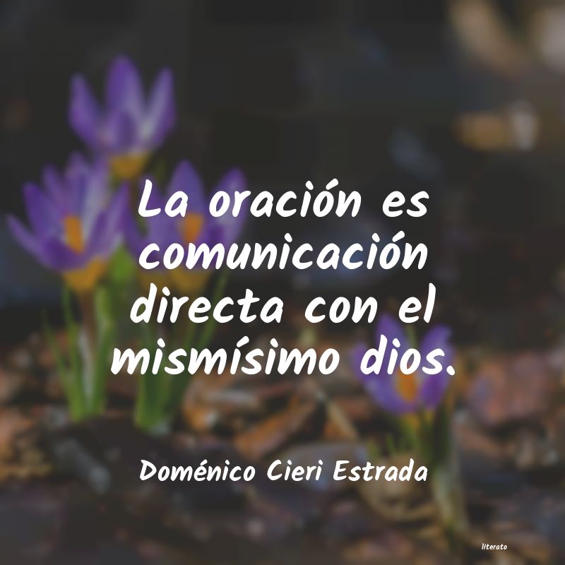 Frases de Doménico Cieri Estrada