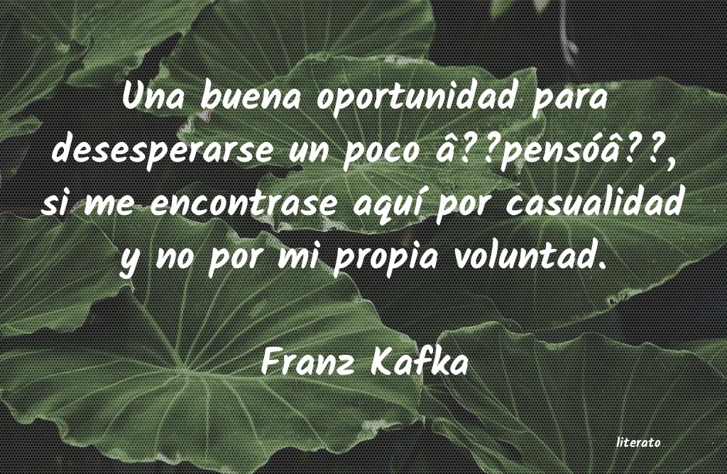 frases de Franz Kafka