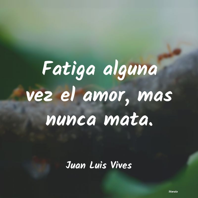 Frases de Juan Luis Vives