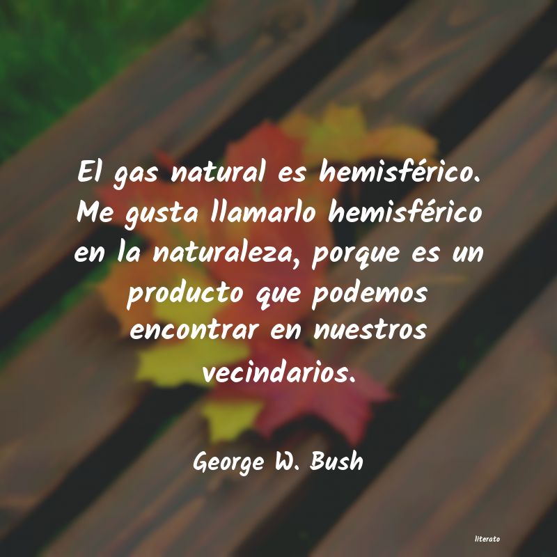 frases de George W. Bush