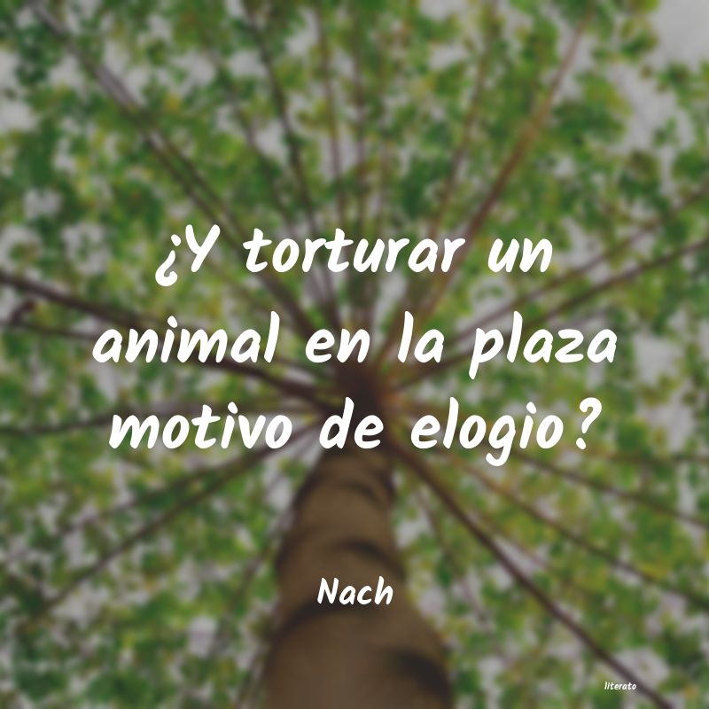 frases de Nach