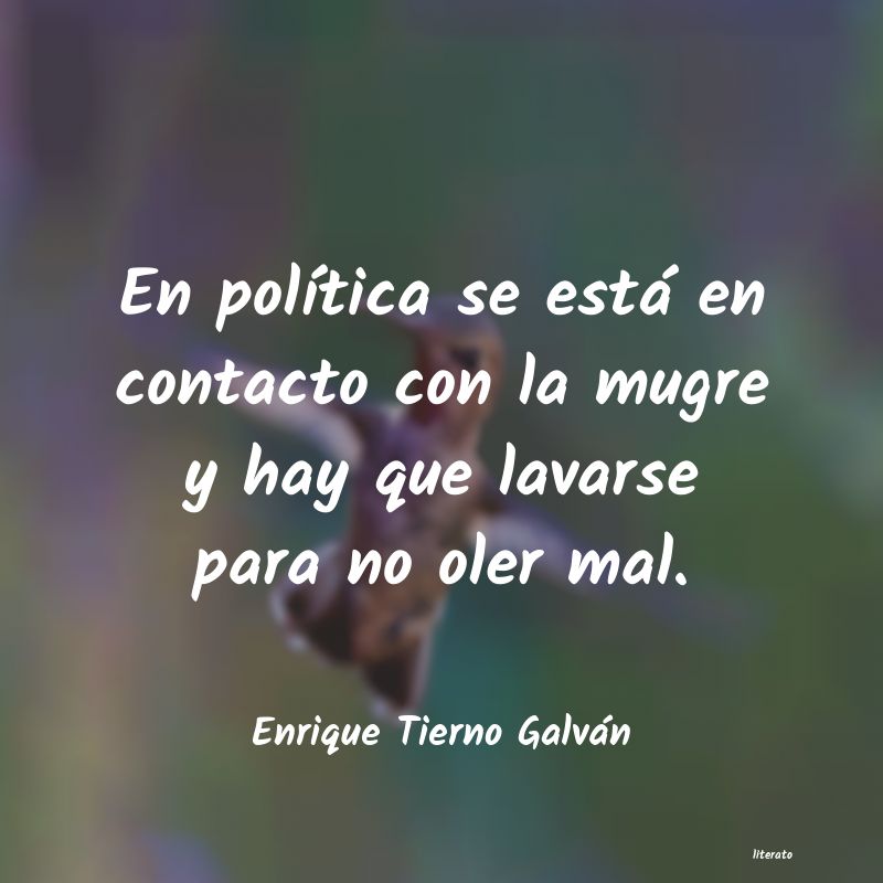 frases de Enrique Tierno Galván